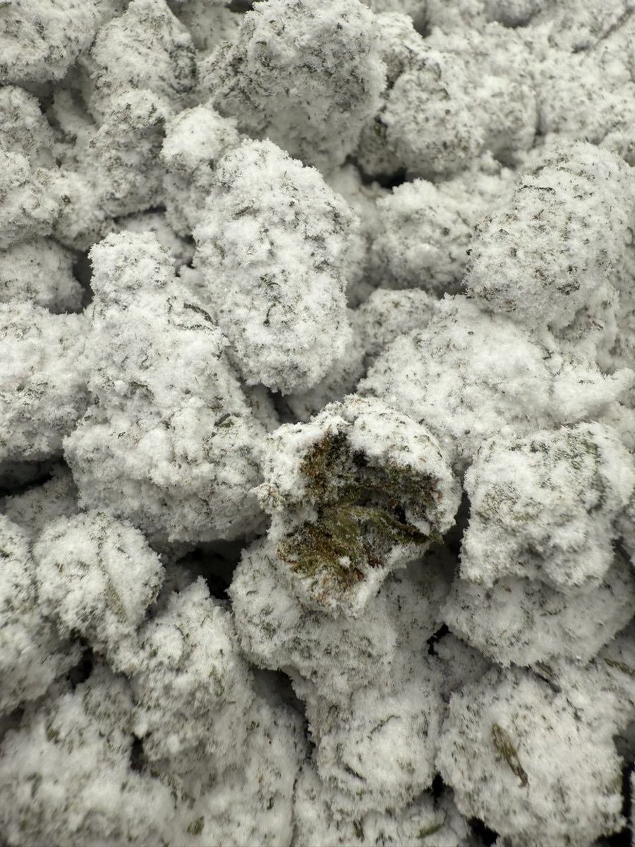HASH HASHISH WORLDWIDE001 (@SanjaysinhZal12) / Posts / X