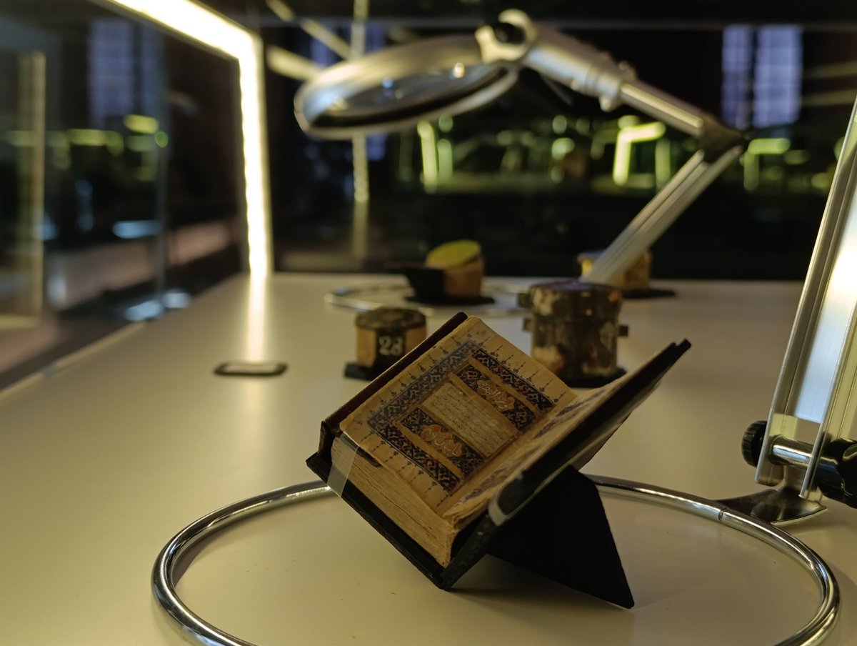 Fatih Dalgalı tweet media