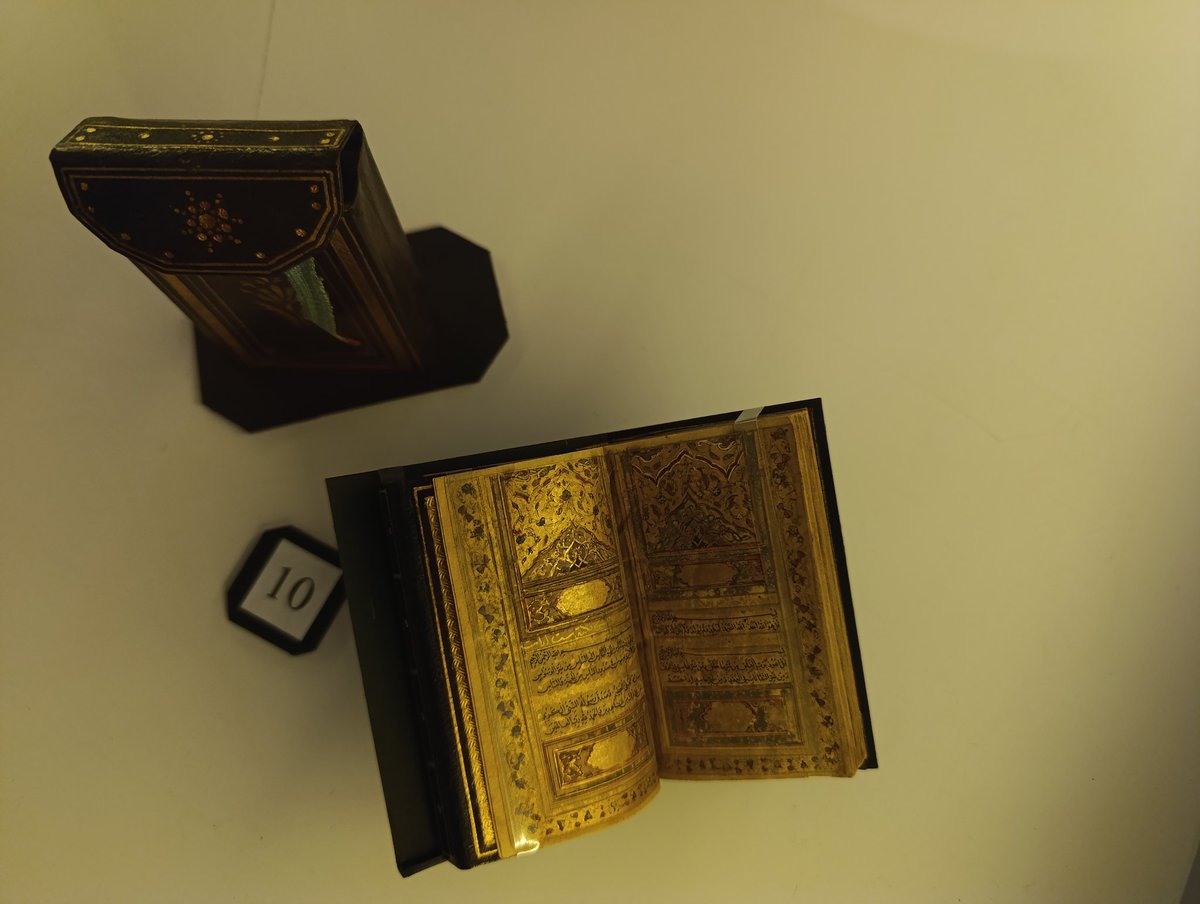 Fatih Dalgalı tweet media