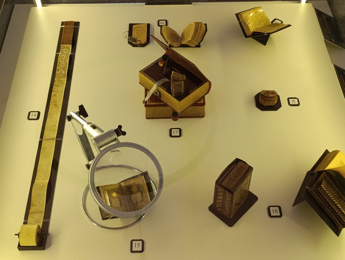 Fatih Dalgalı tweet media