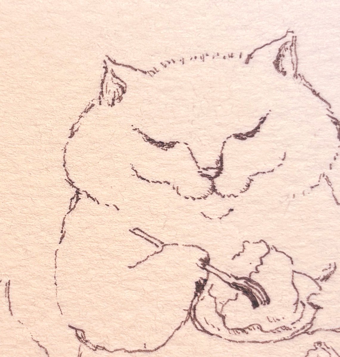 よい週末を✨✨