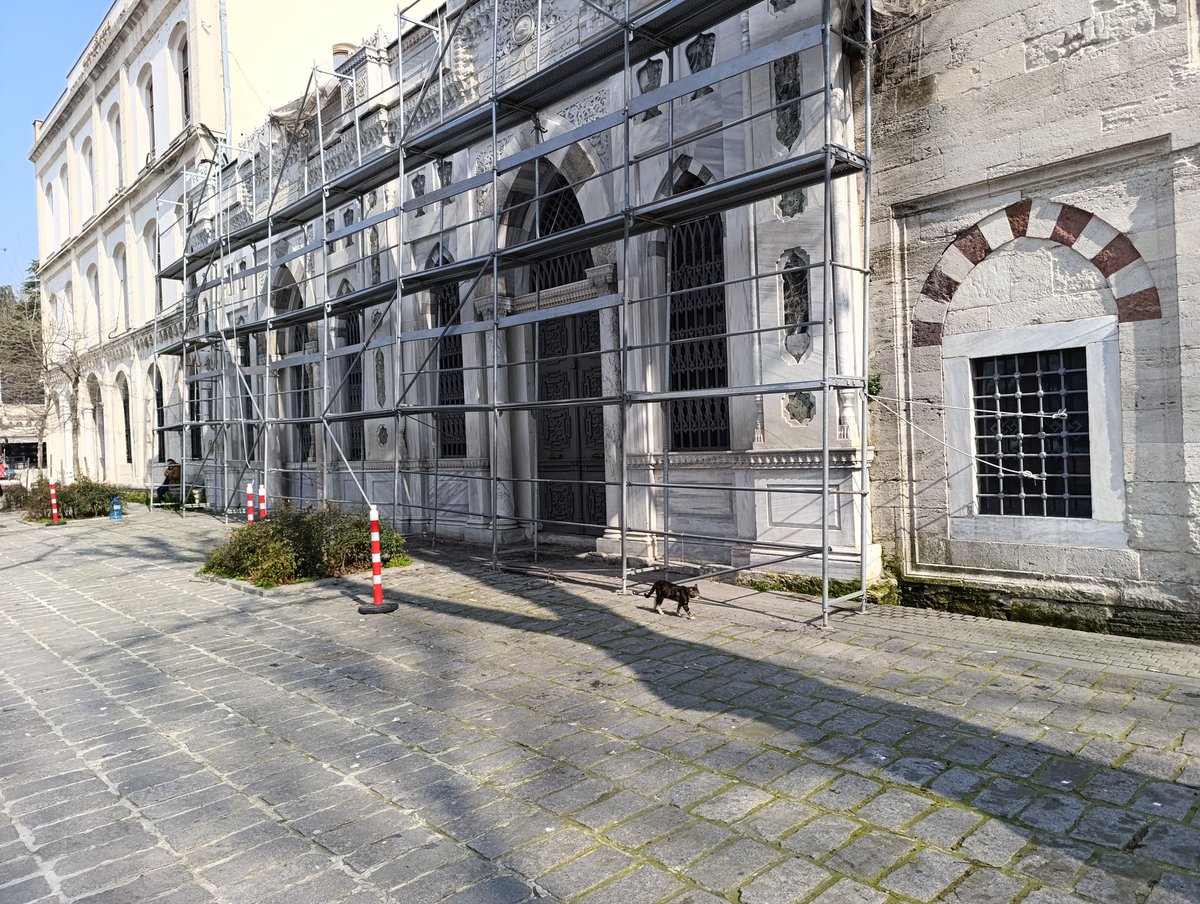 Fatih Dalgalı tweet media