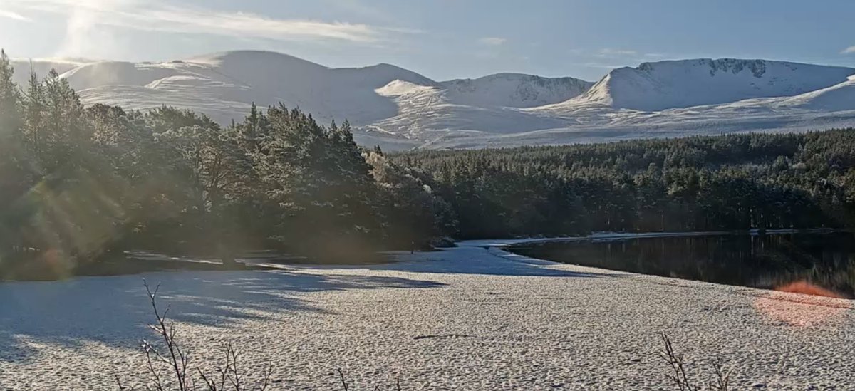 Iain Cameron tweet media