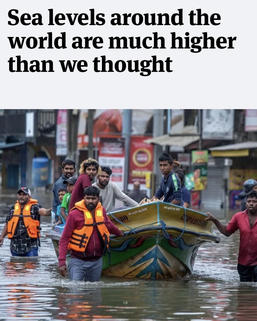 Sumu Elahi tweet media