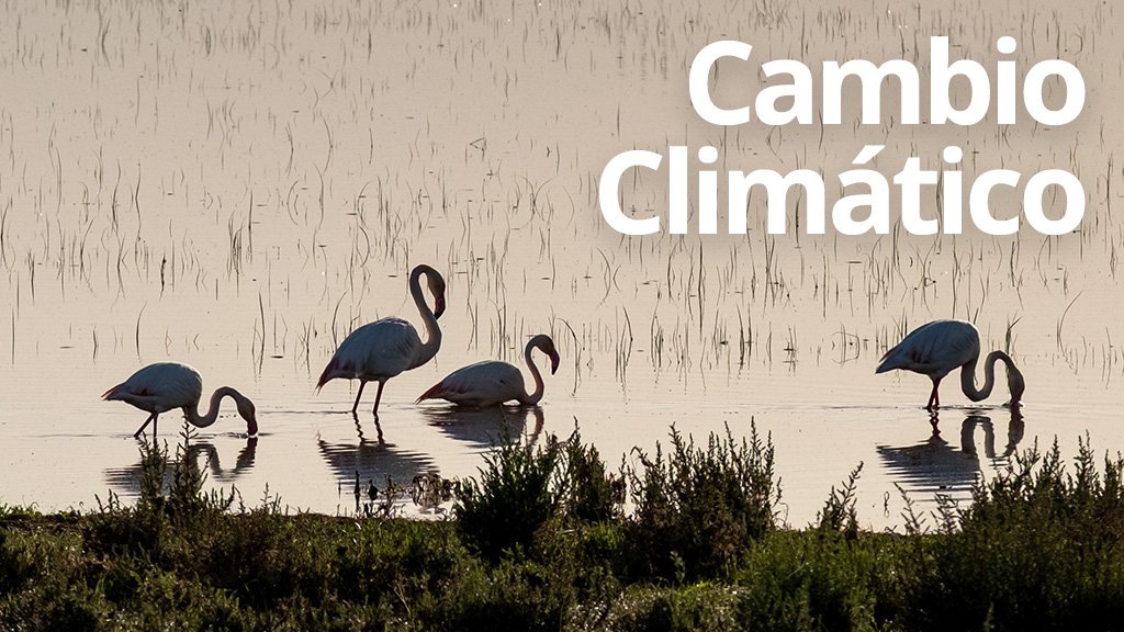 Radio Andalucía Información tweet media