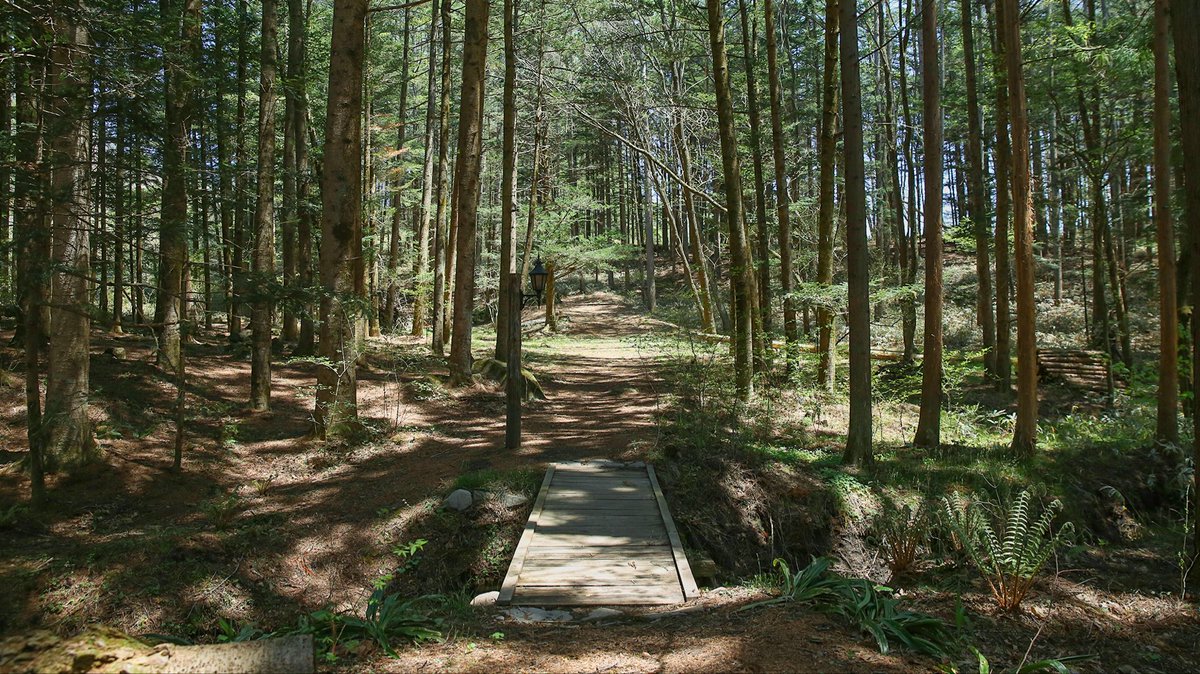 コスフォレスト｜自然コスプレスタジオ tweet media