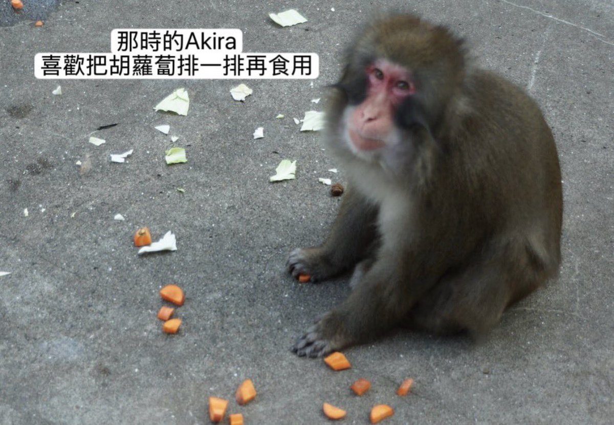 baekhyun_a tweet media