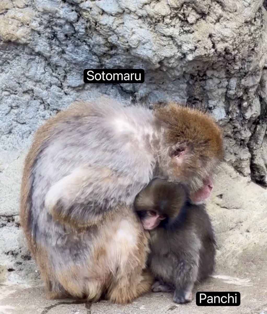 baekhyun_a tweet media