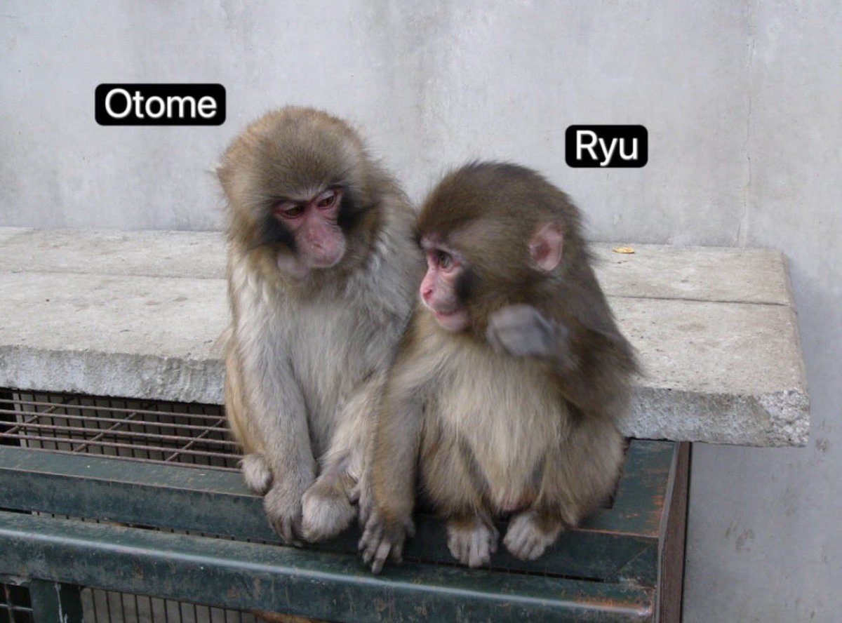 baekhyun_a tweet media