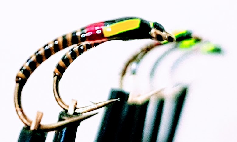 Robert Edmunds tweet media