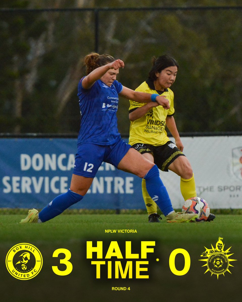 Heidelberg United Alexander FC tweet media