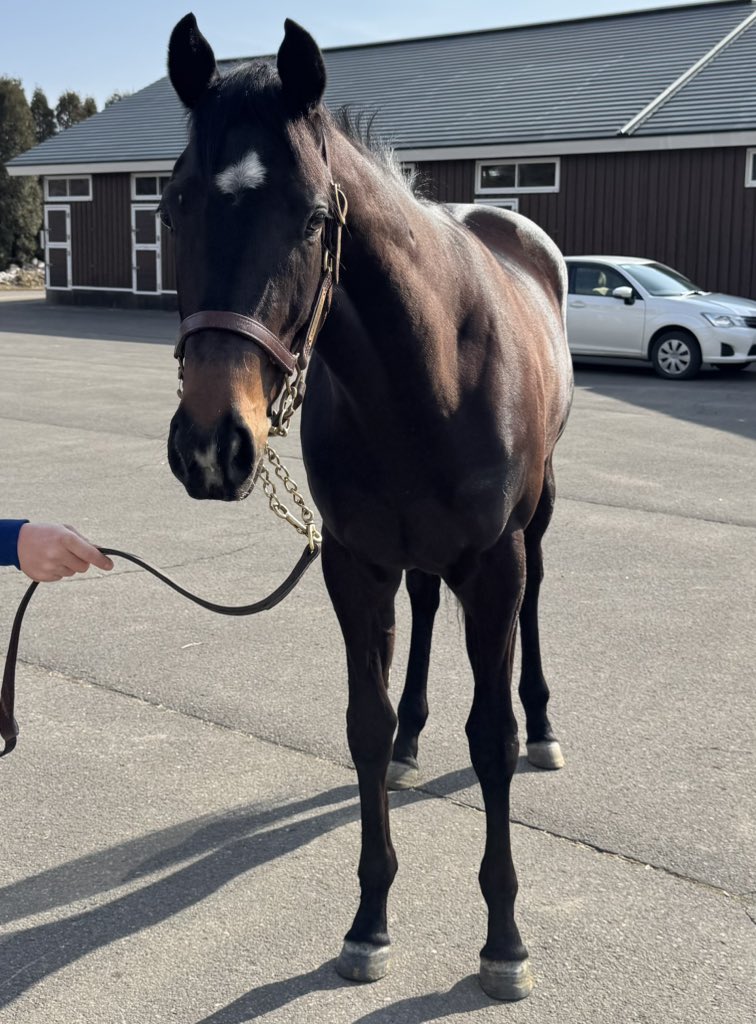 いくせ tweet media