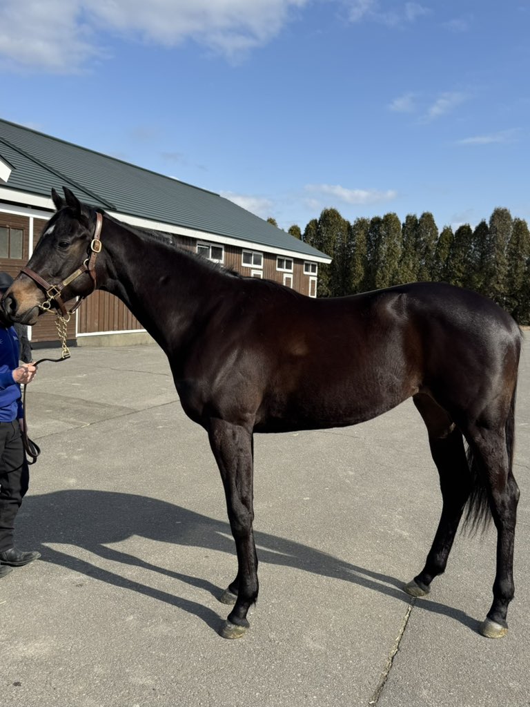 いくせ tweet media