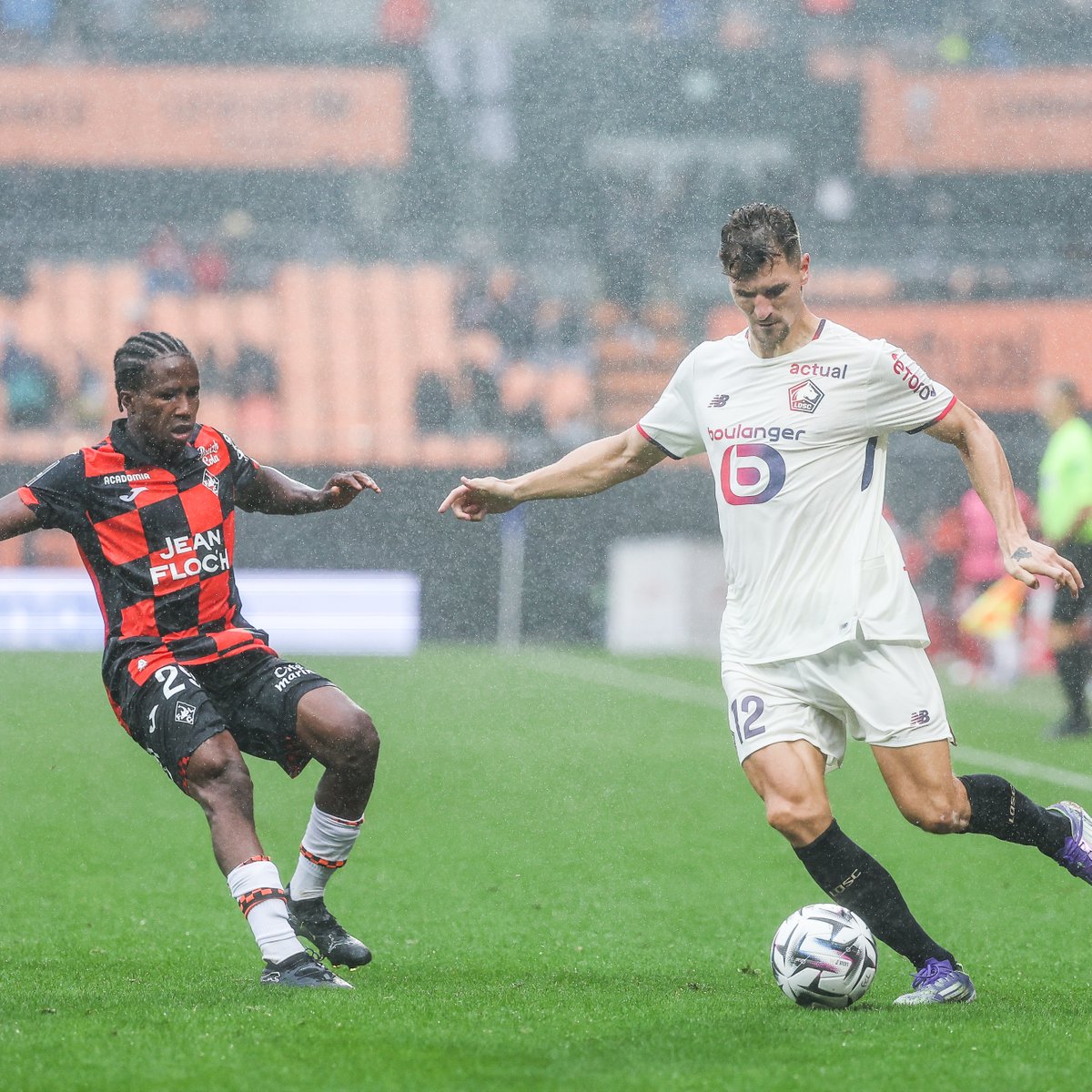 LOSC tweet media