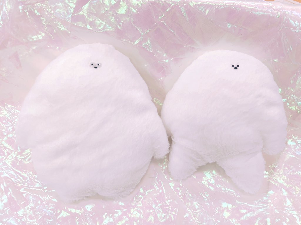 とっくだい！特大！！！
約縦30センチあります
この子達は3月下旬にインスタライブにてやるくじ引きの
1番上の賞になります！
当たったら嬉しいね🩷🩷🩷