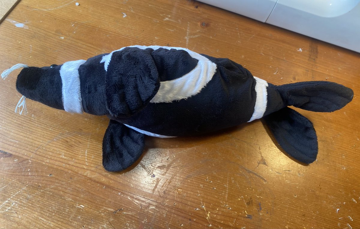 Rex 🦭 tweet media