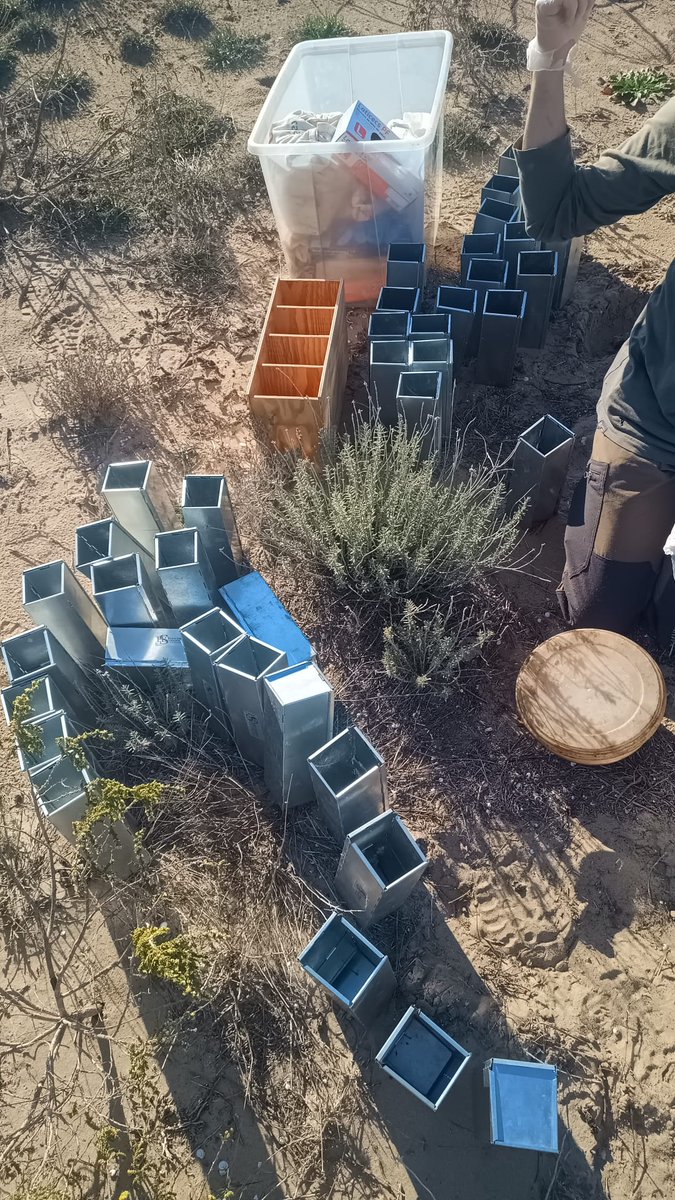 auroracet's tweet photo. 🌱 Als Muntanyans hem fet una prova pilot del projecte @semice_org del @mcngranollers, amb @gepecedc i voluntariat.
🧪 8 captures de 40 trampes
💬 Vols sumar-te al voluntariat? Escriu-nos!
📣 Actuació subvencionada #AjutsMAP @transicioeco
@AjTorredembarra GETE- @ecologistes https://t.co/LG8LhlHz2G