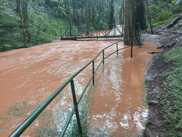 smutoro's tweet photo. The @KeForestService reports rivers in Karura Forest have burst their banks.
✅ What they’re telling you: Heavy rains.
❌ What they can’t tell you: The water is brown due to massive soil erosion.
✅Why? Because reckless tree cutting has destroyed the root systems that used to hold the soil together. #SaveKarura