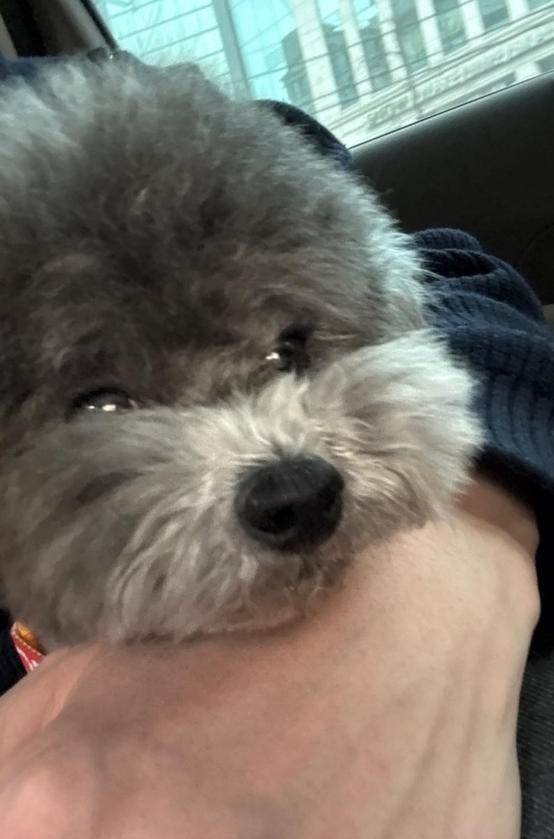 우주는 너무 작고 소중한데 민성이가 데리고 있으면 표정이 항상 용맹하단 말이지ㅋㅋㅋㅋㅋㅋㅋ
우주도 아나봐
아 이 강아지는 내가 지켜야겠구나 
뭐 그런 느낌 아닐까 싶음