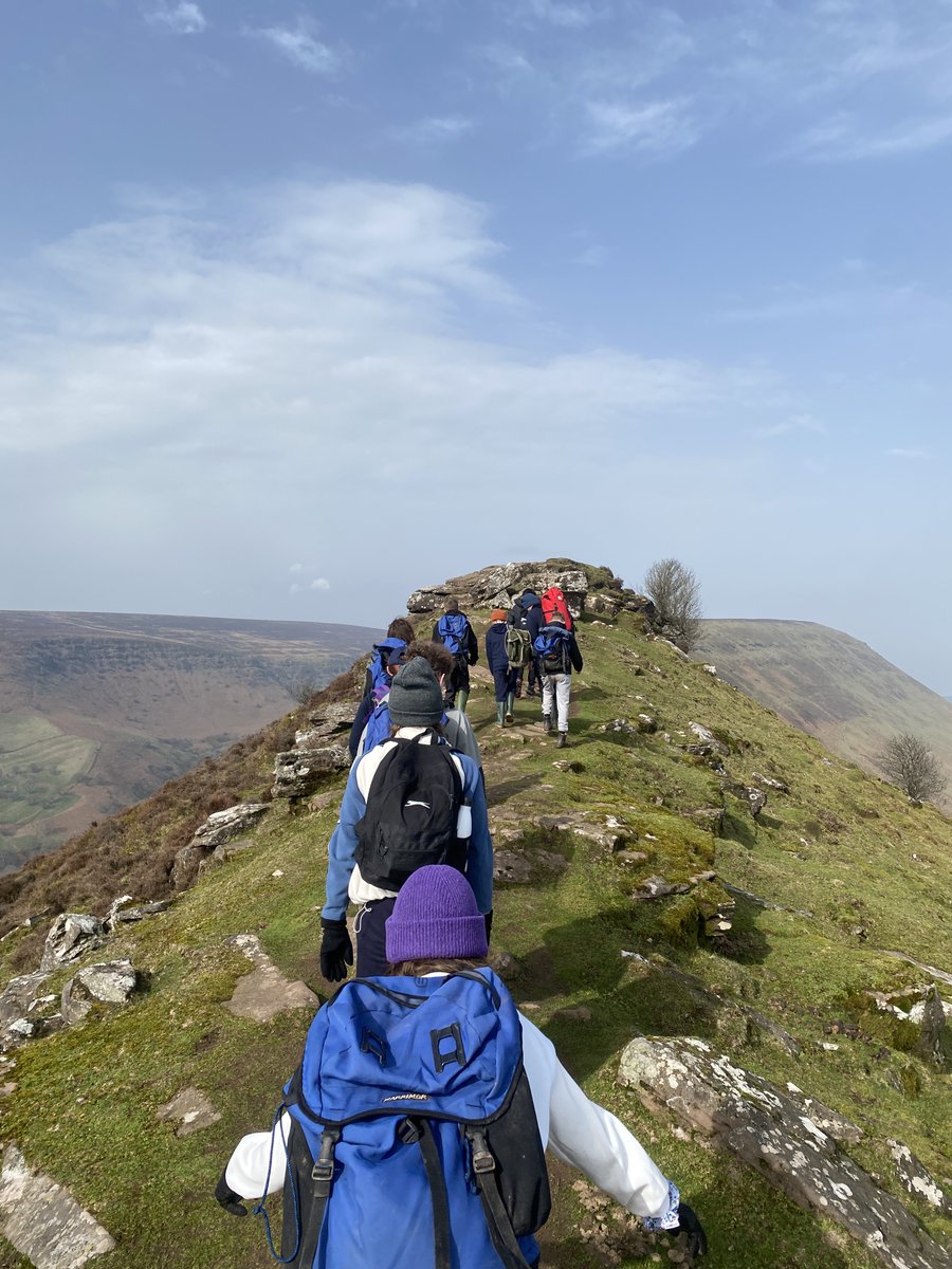 Maplefields Academy tweet media