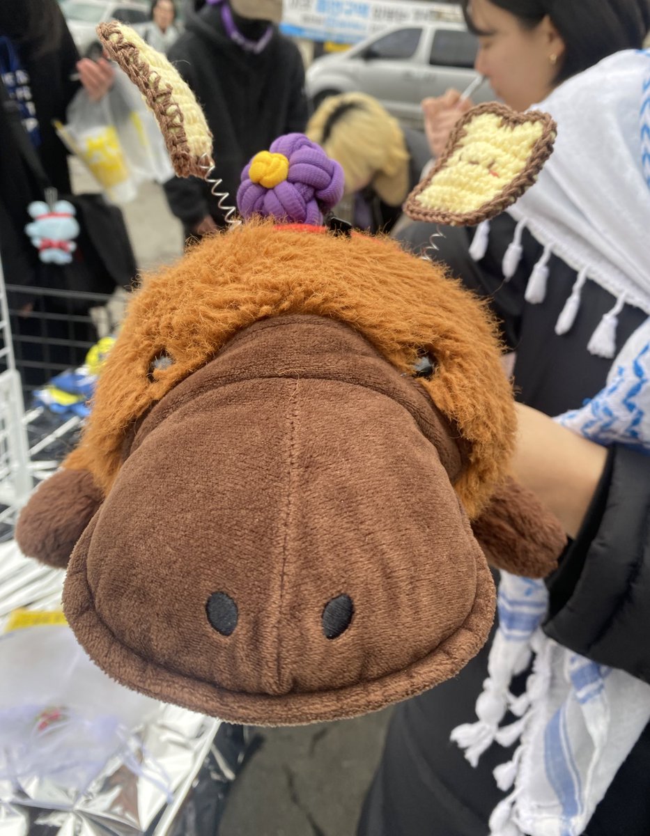 𝕏 리쭈 𝕏 tweet media