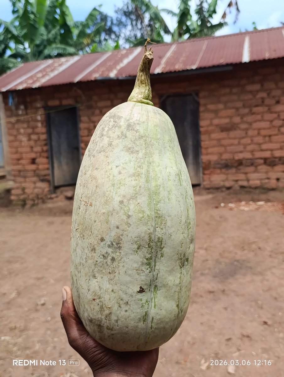Kilimo siyo kazi, ni mtindo wa maisha.
