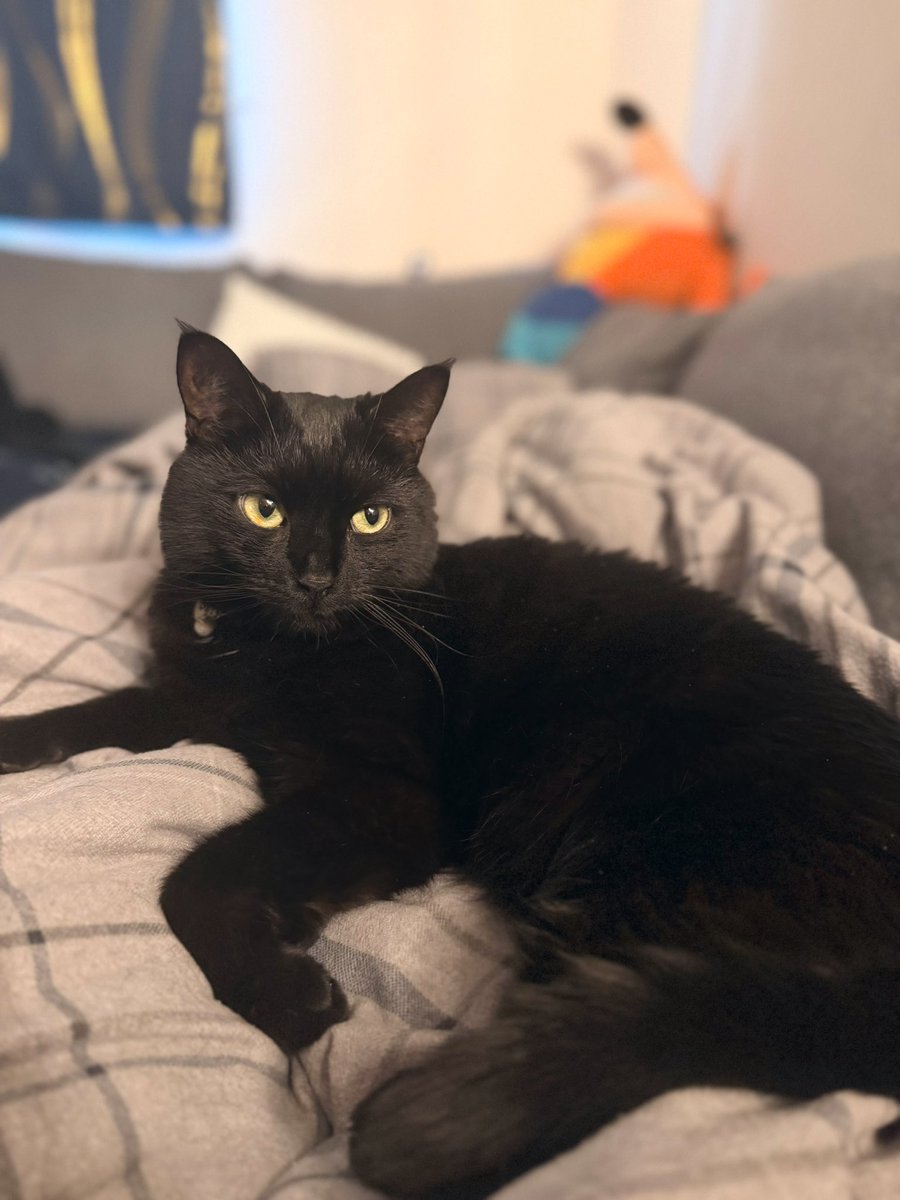 Alex Vega tweet media