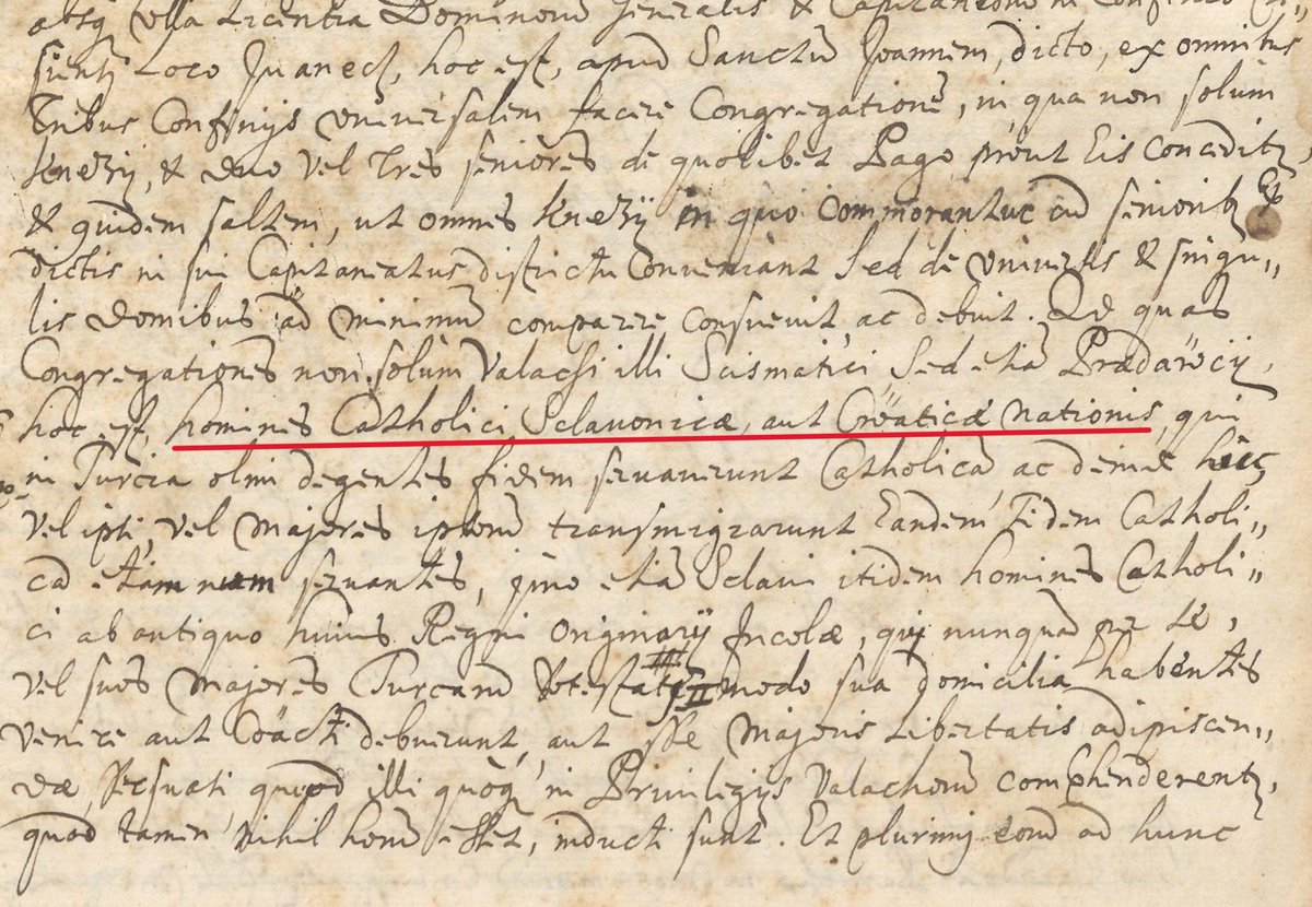 History of Croats tweet media