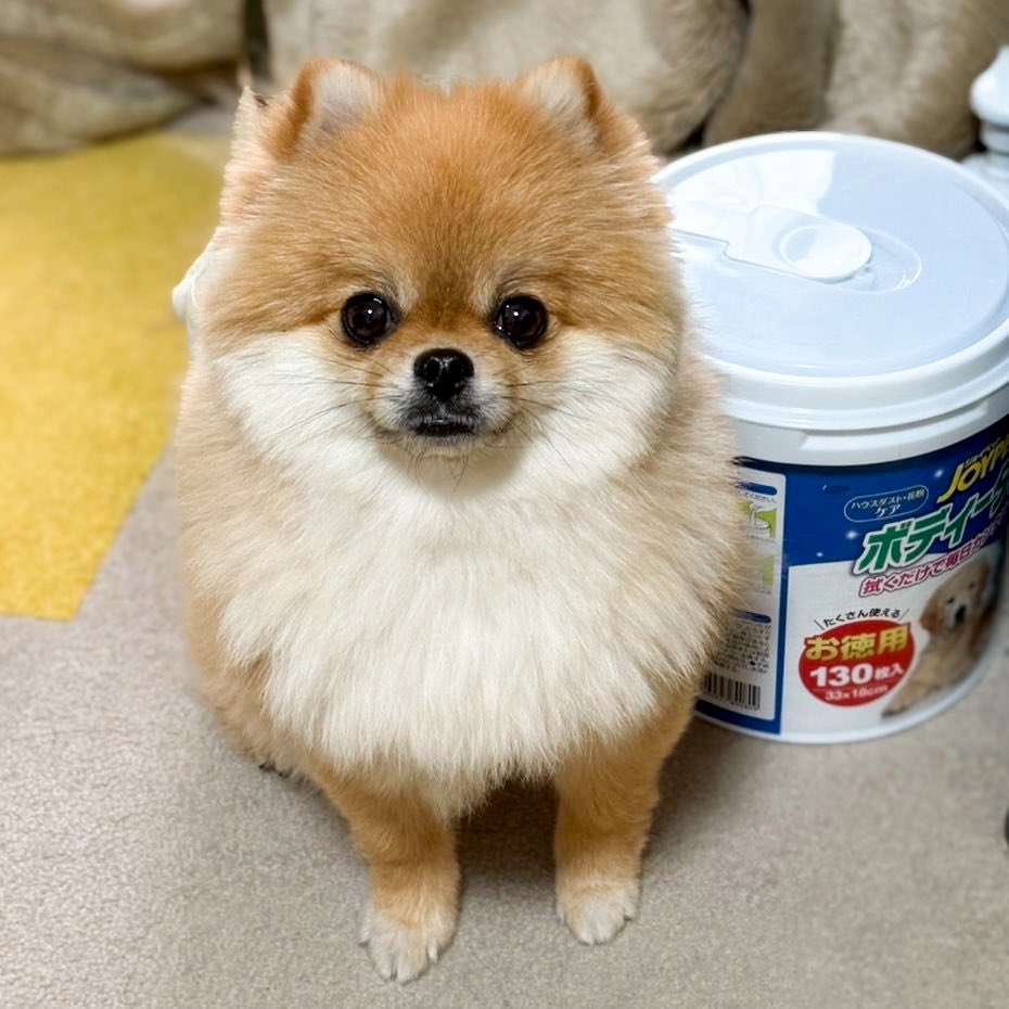 EBIKECHI tweet media