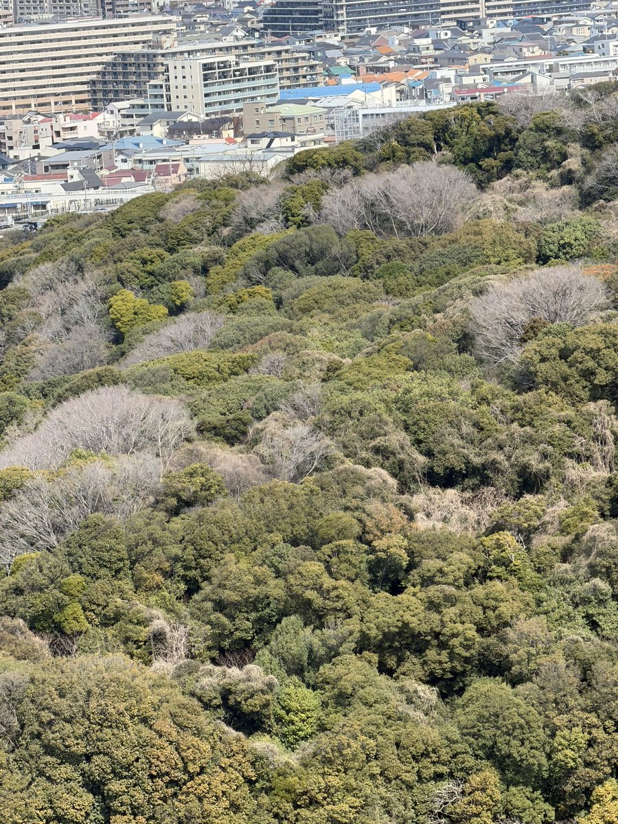 古市憲寿 tweet media