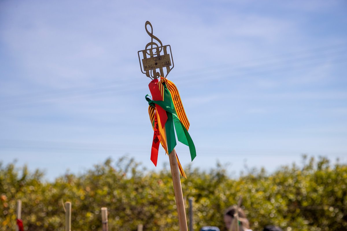 AirNostrumLAM's tweet photo. ¿Sabías que uno de los momentos más especiales de las Fiestas de la Magdalena en #Castellón se vive este domingo caminando?

"La Romeria de les Canyes" es uno de los actos más emblemáticos de las fiestas y un homenaje a los orígenes de #Castellón.

Cada año, miles de personas recorren el camino hasta la ermita de la Magdalena recordando el traslado de la ciudad desde la colina al llano en 1252.

Durante la jornada, tradición y celebración se mezclan en un ambiente único: cañas adornadas con cintas verdes, música, paella popular y encuentros que convierten el recorrido en una experiencia compartida llena de emoción.

Una tradición que se transmite de generación en generación y que representa el corazón de la ciudad.

📸Patronato Municipal de Turismo de Castellón

#ConectamosRegiones #Castellón