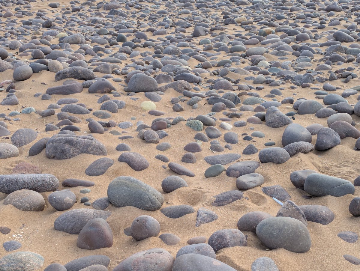 Annie O'Garra Worsley tweet media