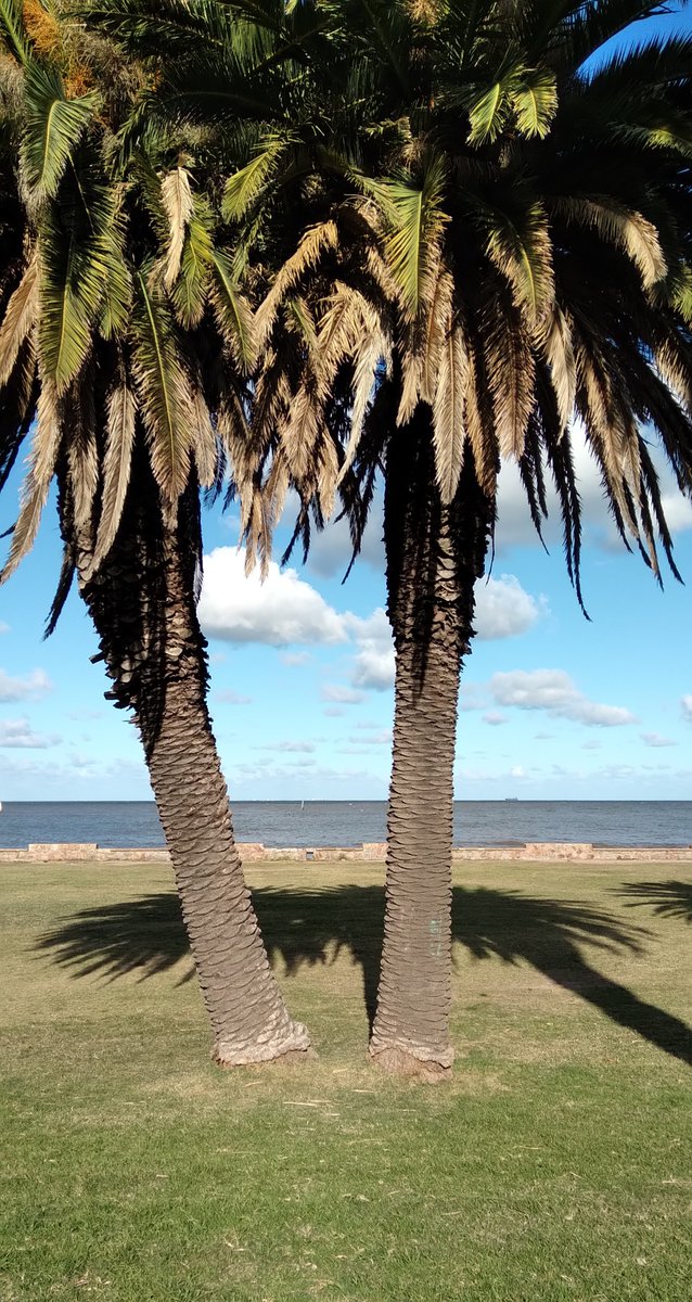 Lopezlaila1's tweet image. #Cloudy day #Montevideo #Uruguay