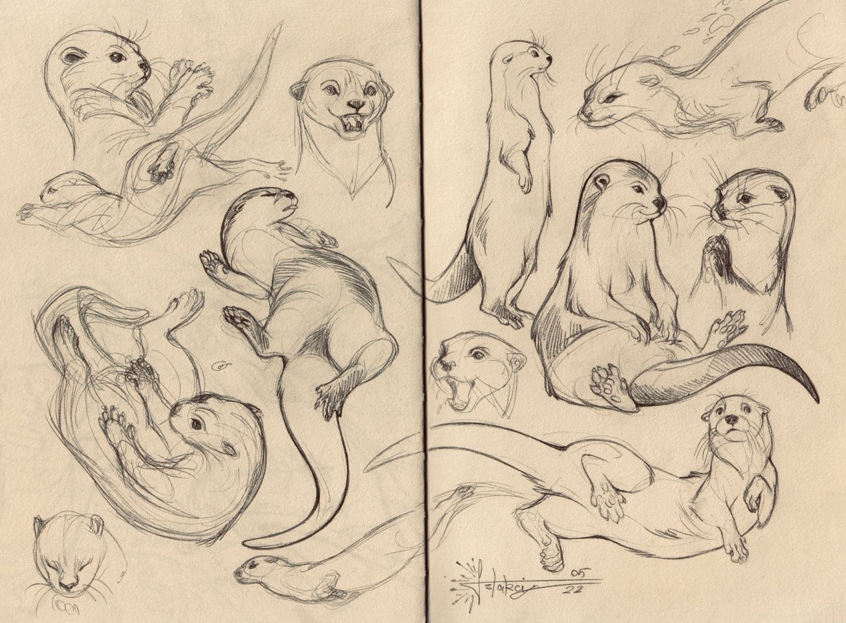 Astarcis🍂 tweet media