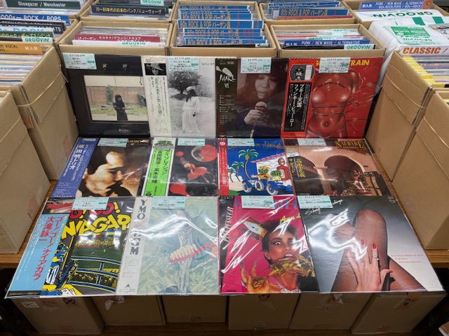 3/7(土) 新入荷情報♪レギュラーLP②】 ロックポップス55枚、パンク