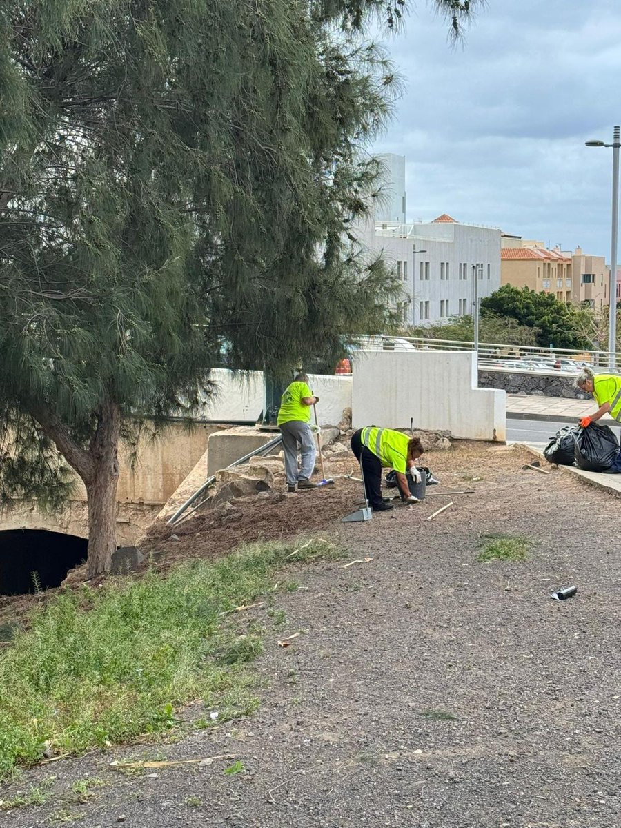 aytopajara's tweet image. 🧹 Continúa con los trabajos de limpieza para la mejora de los jardines en el municipio.

📍 Las actuaciones se han desarrollado en los alrededores de la Iglesia, la subida del muelle y la plaza de Los Pescadores, en Morro Jable.

#Pájara #Limpieza #MorroJable