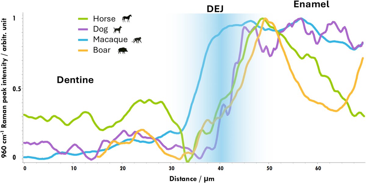 LBN UR UM 104 tweet media