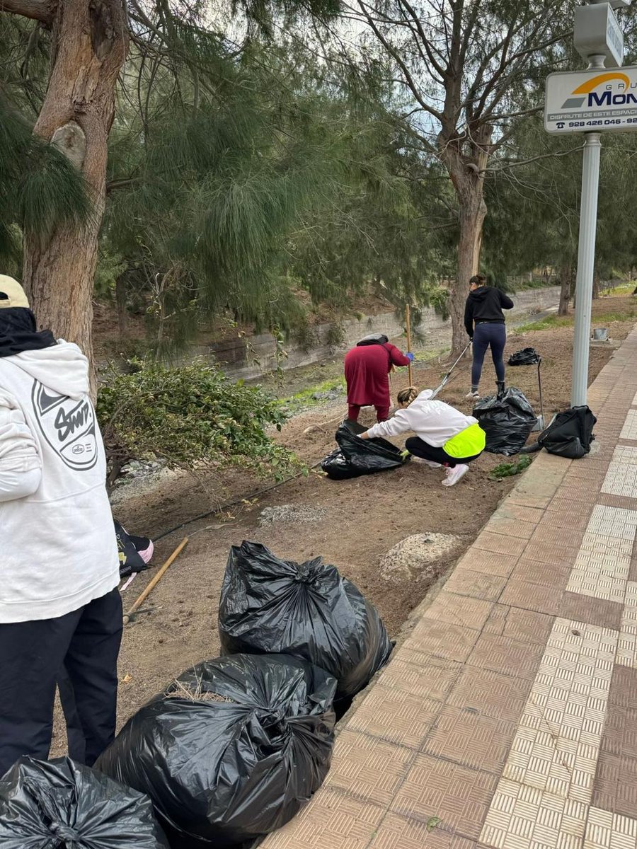 aytopajara's tweet image. 🧹 Continúa con los trabajos de limpieza para la mejora de los jardines en el municipio.

📍 Las actuaciones se han desarrollado en los alrededores de la Iglesia, la subida del muelle y la plaza de Los Pescadores, en Morro Jable.

#Pájara #Limpieza #MorroJable