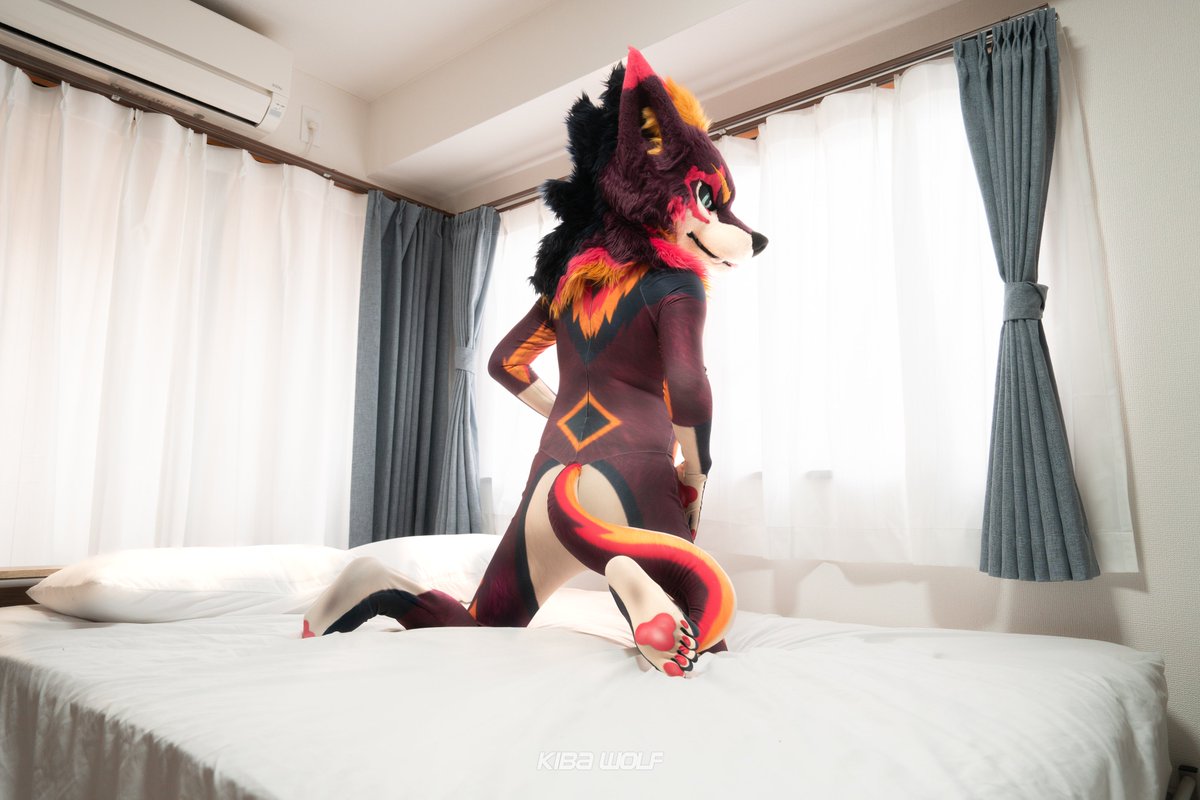 暮れKure ✨🌠 / Kiba Wolf (牙ウルフ)➲MFF tweet media