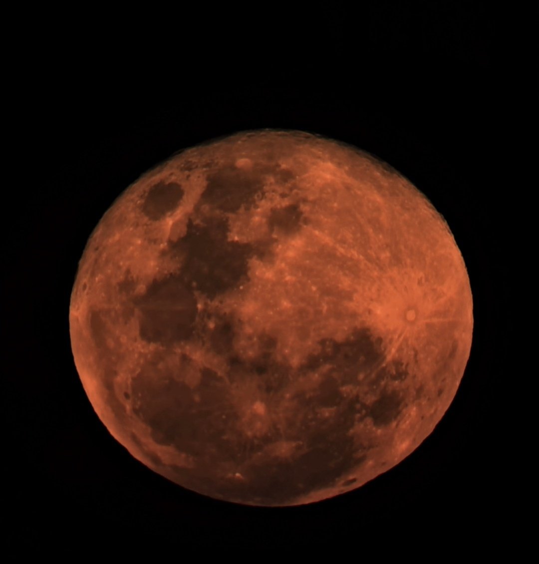 stnite48's tweet photo. Worm Moon
2026 third full moon
Device:Seestar S50
The Worm Moon is the traditional name for the full moon that occurs in March, signifying the time when the ground begins to thaw and earthworms start to emerge from the soil. 
#astrophotography_ #seestars50 #seestarofficial https://t.co/DkV46LpCZq