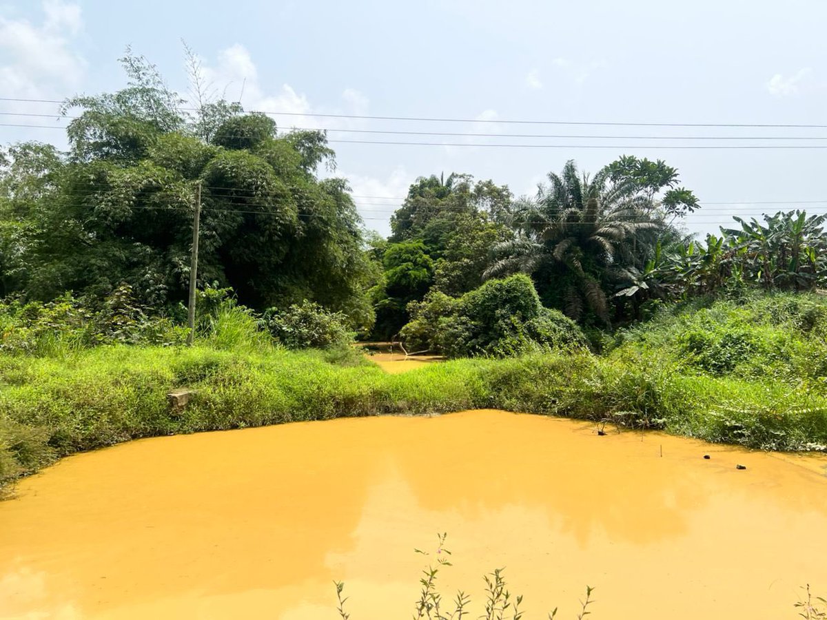 The country.                 The water bodies #StopGalamseyNow