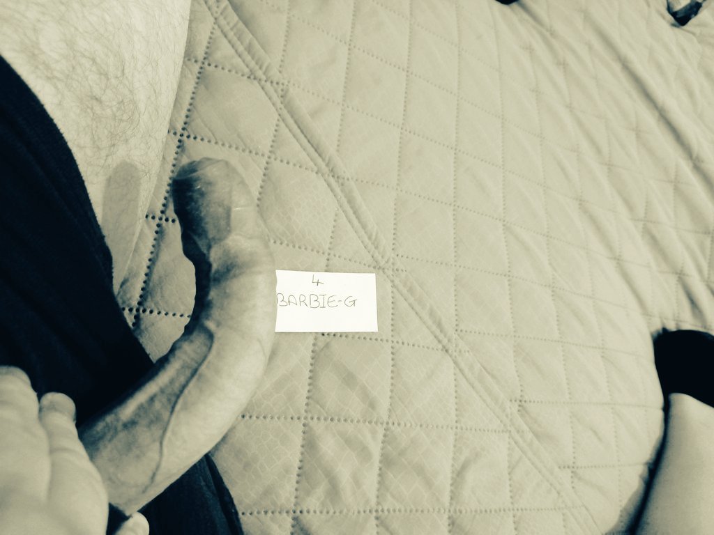 BaldGeordie78's tweet photo. Curved thick and veins like the top of a mars bar,
You'd feel every inch going in..
#horny #naughty #geordie #thickdick #joi #jerkoff #wankday
Show me your pussy mouth or ass so i know where im putting this geordie cock... https://t.co/JfVbgjZsAe