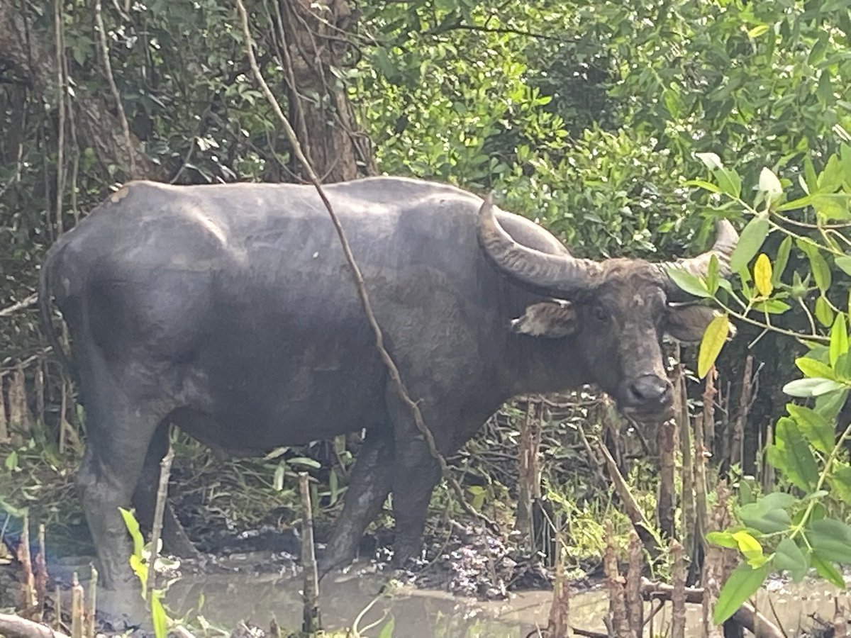 Luke barlow tweet media