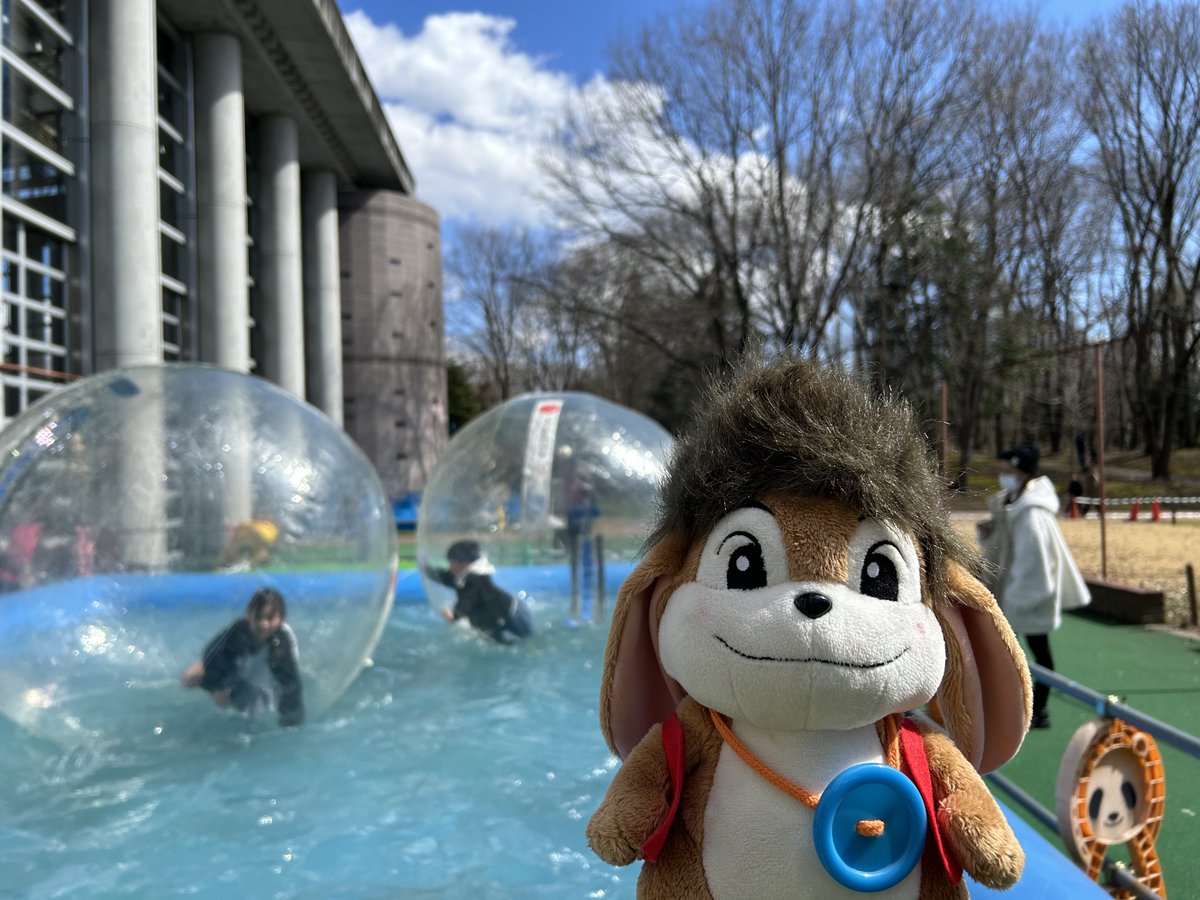 wanpakukouen's tweet photo. 3/7(土)より、キッズボートとウォーターバルーンの営業を再開します。

水の上に浮かぶ感覚、フワフワ楽しいですよ。

ボートやバルーンを思い通りに操るのもこの遊具の醍醐味です。

みなさんは上手に乗れるでしょうか？

チャレンジしてみてくださいね。

※土日祝日・春休みに営業しています。 https://t.co/jNohUZ08Ci