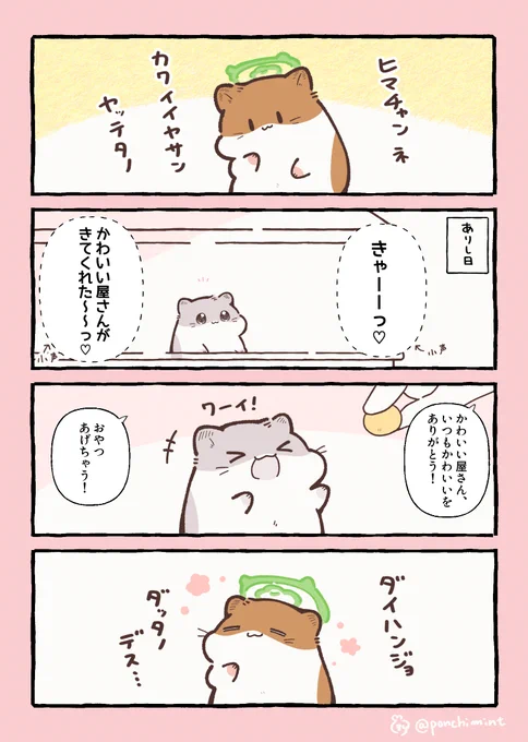 ひまちゃんと天国の面接 ひまちゃんのかわいい屋さん 