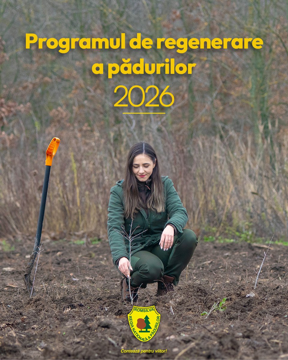 RNP_Romsilva's tweet image. 📢 ‼ 25 de milioane de puieți vor fi plantați de Romsilva în campaniile de împăduriri din 2026

🔘🖱 Comunicatul pe pagina noastră de internet:

shorturl.at/quuV3

#România #Romania #forestry #forests #afforestation #păduri #pădure #împăduriri
