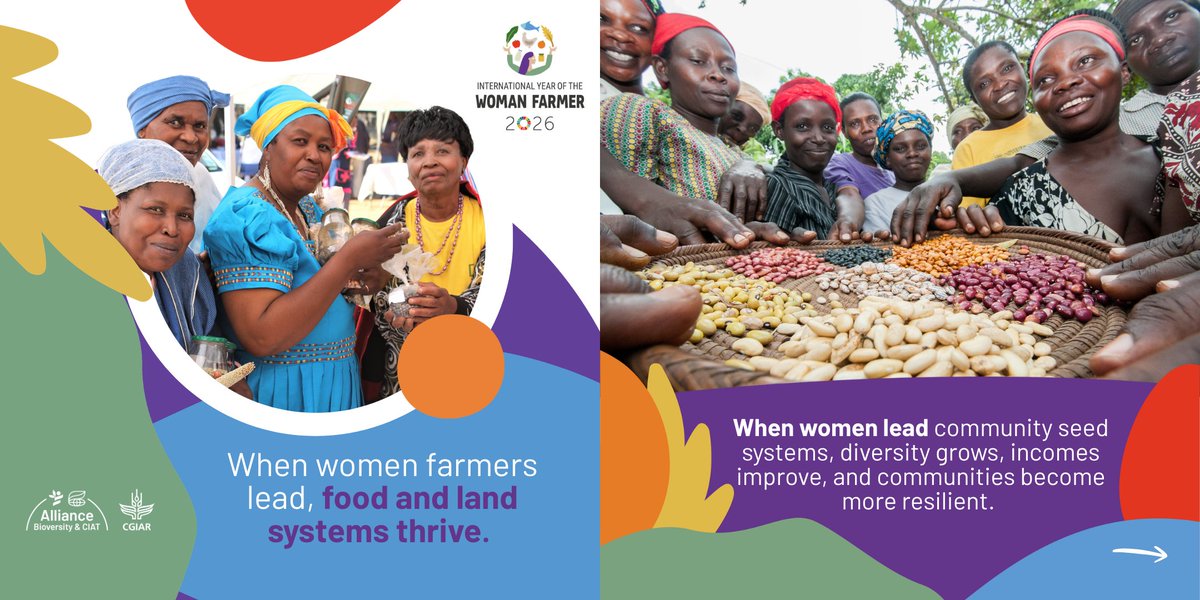 Alliance of Bioversity International and CIAT tweet media