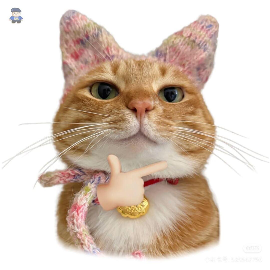 NO DM - KIRIM FESS CEK HIGHLIGHTS tweet media