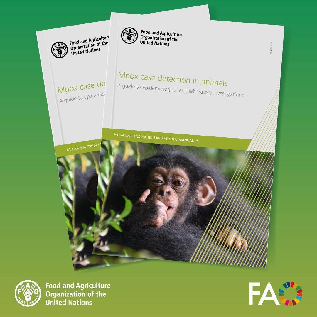 FAO Livestock tweet media