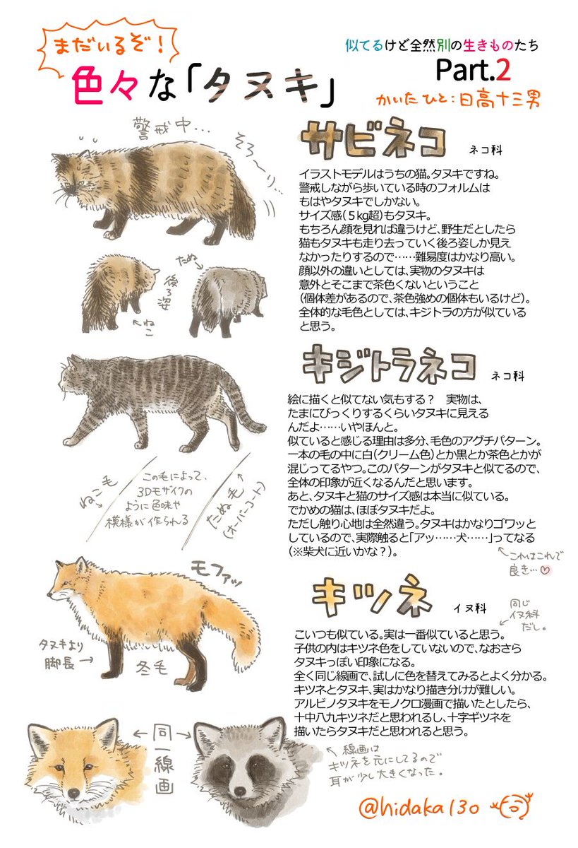 hidaka13o's tweet photo. 【再掲】色々なタヌキ https://t.co/gvZSyER8ER